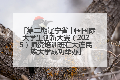 第二期辽宁省中国国际大学生创新大赛（2025）师资培训班在大连民族大学成功举办