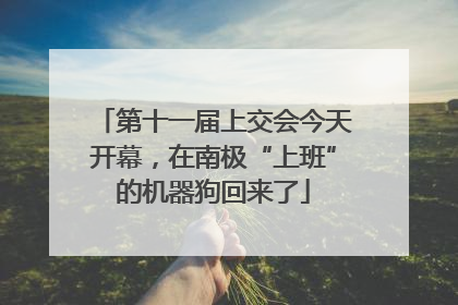 第十一届上交会今天开幕，在南极“上班”的机器狗回来了
