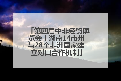 第四届中非经贸博览会丨湖南14市州与28个非洲国家建立对口合作机制
