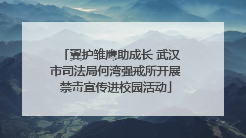 翼护雏鹰助成长 武汉市司法局何湾强戒所开展禁毒宣传进校园活动