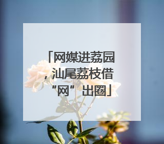 网媒进荔园，汕尾荔枝借“网”出圈