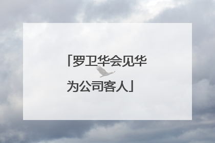 罗卫华会见华为公司客人