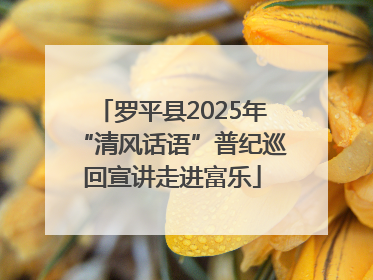 罗平县2025年“清风话语”普纪巡回宣讲走进富乐