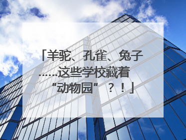 羊驼、孔雀、兔子……这些学校藏着 “动物园”？！