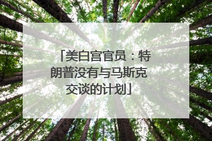 美白宫官员：特朗普没有与马斯克交谈的计划