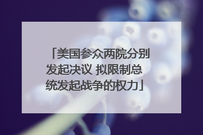 美国参众两院分别发起决议 拟限制总统发起战争的权力