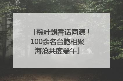 粽叶飘香话同源！100余名台胞相聚海沧共度端午