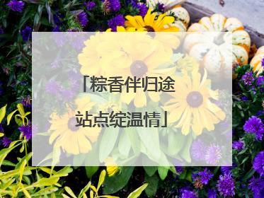 粽香伴归途 站点绽温情