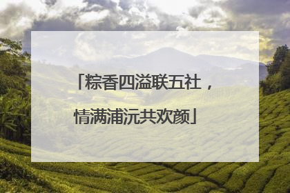 粽香四溢联五社，情满浦沅共欢颜