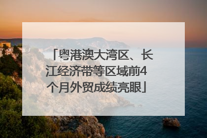 粤港澳大湾区、长江经济带等区域前4个月外贸成绩亮眼