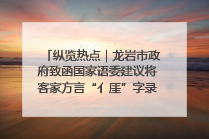 纵览热点｜龙岩市政府致函国家语委建议将客家方言“亻厓”字录入《新华字典》引发热议，当地回应