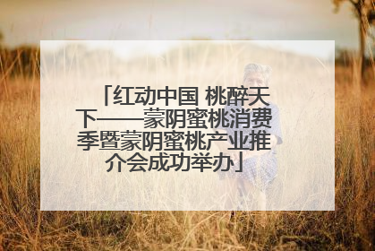 红动中国 桃醉天下——蒙阴蜜桃消费季暨蒙阴蜜桃产业推介会成功举办