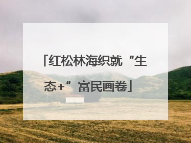 红松林海织就“生态+”富民画卷