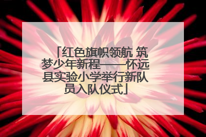 红色旗帜领航 筑梦少年新程——怀远县实验小学举行新队员入队仪式