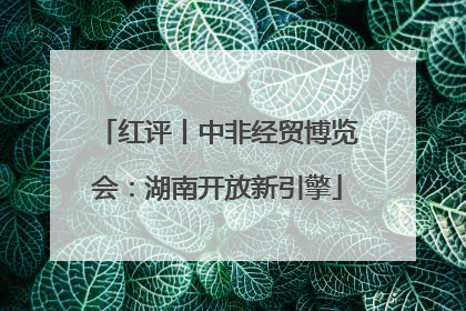 红评丨中非经贸博览会：湖南开放新引擎