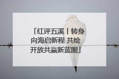 红评五溪丨转身向海启新程 共绘开放共赢新蓝图