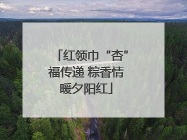 红领巾“杏”福传递 粽香情暖夕阳红