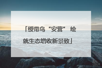 绶带鸟“安营” 绘就生态增收新景致