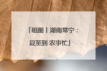 组图丨湖南常宁：夏至到 农事忙