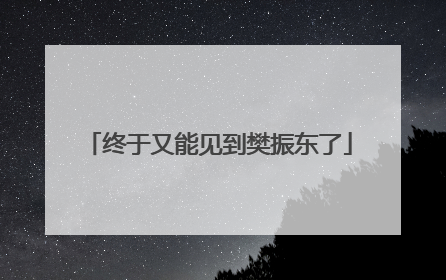 终于又能见到樊振东了