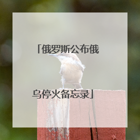 俄罗斯公布俄乌停火备忘录