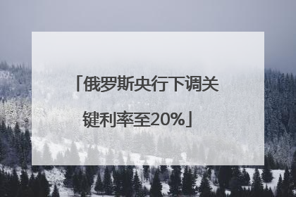 俄罗斯央行下调关键利率至20%