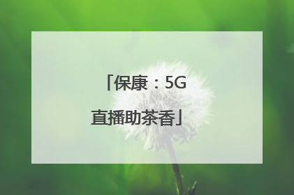 保康：5G直播助茶香