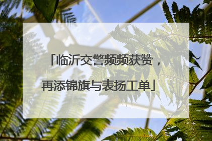 临沂交警频频获赞，再添锦旗与表扬工单