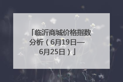 临沂商城价格指数分析（6月19日—6月25日）