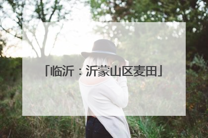 临沂：沂蒙山区麦田