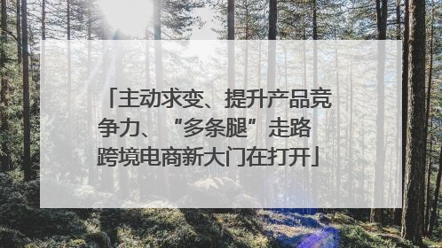 主动求变、提升产品竞争力、“多条腿”走路 跨境电商新大门在打开