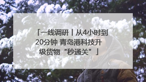 一线调研丨从4小时到20分钟 青岛港科技升级货物“秒通关”