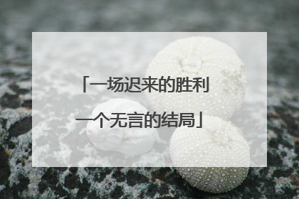 一场迟来的胜利 一个无言的结局