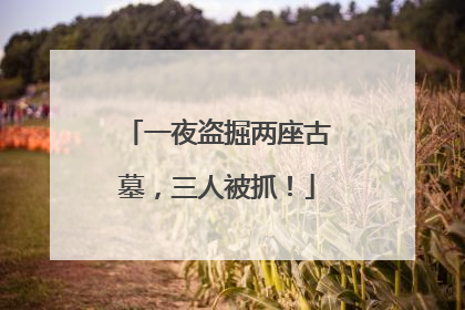 一夜盗掘两座古墓，三人被抓！