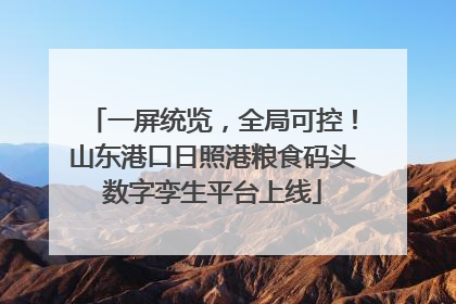 一屏统览，全局可控！山东港口日照港粮食码头数字孪生平台上线