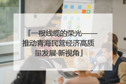一根线缆的荣光——推动青海民营经济高质量发展·新视角