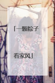 一颗粽子看家风