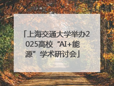 上海交通大学举办2025高校“AI+能源”学术研讨会