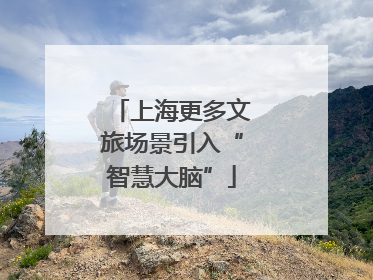 上海更多文旅场景引入“智慧大脑”