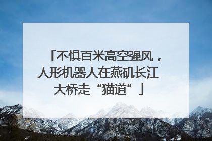 不惧百米高空强风，人形机器人在燕矶长江大桥走“猫道”