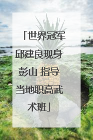 世界冠军邱建良现身彭山 指导当地职高武术班