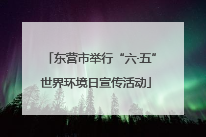 东营市举行“六·五”世界环境日宣传活动