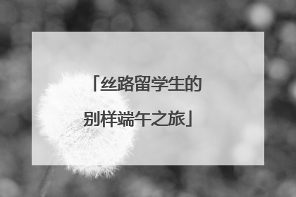 丝路留学生的别样端午之旅