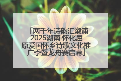 两千年诗韵汇溆浦 2025湖南·怀化屈原爱国怀乡诗歌文化推广季暨龙舟赛启幕