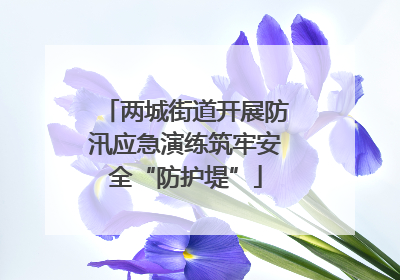 两城街道开展防汛应急演练筑牢安全“防护堤”
