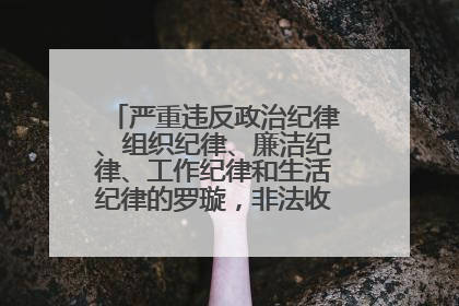 严重违反政治纪律、组织纪律、廉洁纪律、工作纪律和生活纪律的罗璇，非法收受他人巨额财物