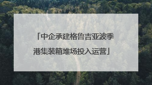 中企承建格鲁吉亚波季港集装箱堆场投入运营