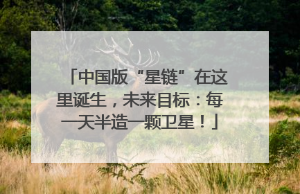 中国版“星链”在这里诞生，未来目标：每一天半造一颗卫星！