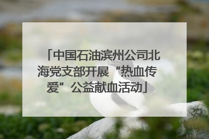 中国石油滨州公司北海党支部开展“热血传爱”公益献血活动