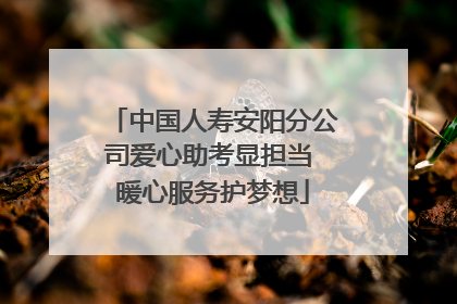 中国人寿安阳分公司爱心助考显担当 暖心服务护梦想